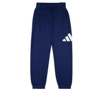 Adidas Unisex Kinder Essentials BIG Logo Pants, Dark Blue/White, 13-14 Years