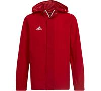 adidas ENT22 AW JKTY Veste à capuche XXS(111-116cm) Rouge
