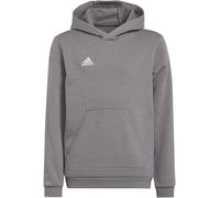 Adidas Ent22 Hoodie Juniors Gris 11-12 ans Unisex