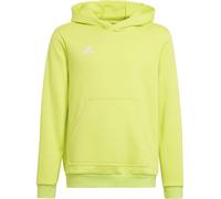 adidas Entrada 22 Sweat à capuche enfants vert blanc 128