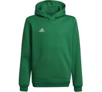 Adidas Ent22 Hoodie Juniors Vert/Blanc 13 ans Unisex