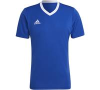 adidas Homme Entrada 22 Jersey, Royal Blue, M
