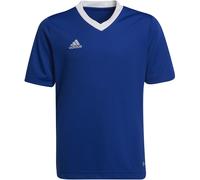 Adidas Unisex Kids Jersey Ent22 Jsy Y, Royblu, HG3948, 164 EU
