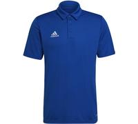 Adidas Ent22 Polo Shirt Mens Bleu royal L Male
