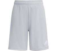 Adidas Ent22 Shorts Juniors Gris 7-8 ans Unisex