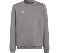 Adidas Ent22 Sw Topy Sweatshirt Unisex Kids Quatre gris 11-12 ans Unisex
