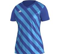 Adidas Entrada 22 Graphic Jersey T-Shirt Womens T Ryl Bl/ASR 12 (M) Female
