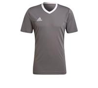 adidas Entrada 22 maillot gris blanc 3XL