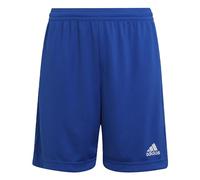adidas Entrada 22 Shorts Mixte Enfant, Royal Blue, 7-8 Years