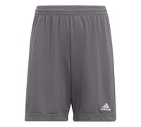 adidas Entrada 22 Shorts Mixte Enfant, Team Grey Four, 7-8 Years