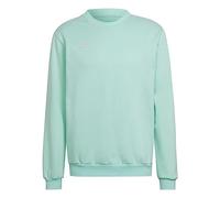 Sweat-shirt turquoise adidas Entrada 22 M