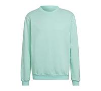 adidas Entrada 22 Sweatshirt Homme, Clear Mint, XL