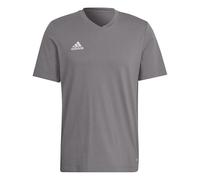 adidas Entrada 22 Tee T-Shirt (Short Sleeve) Homme, Team Grey Four, XL