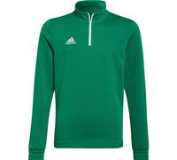 adidas Entrada 22 Training Haut Jr Vert 176