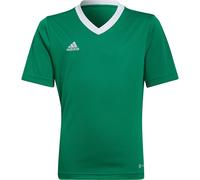 adidas Entrada 22 Training Maillot Jr 164 Vert