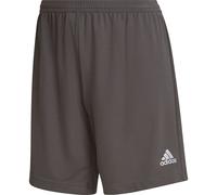 adidas Entrada 22 Training Short Femme XS Gris