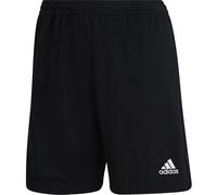 adidas Entrada 22 Training Short Femme XXS Noir