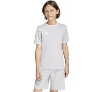 adidas Entrada 26 Maillot Training Jr 128 Gris/Blanc