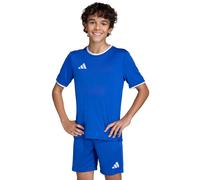 Adidas Maillot d'entraînement Entrada 26 Mixte Enfant Bleu/Blanc 176 (15-16 ans)