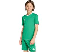 ADIDAS PERFORMANCE T-Shirt fonctionnel 'ENT26' vert / blanc, Taille 176