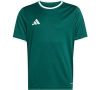adidas Entrada 26 Maillot Training Jr Vert Foncé/Blanc 128