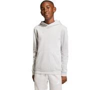 Adidas Entrada 26 Hoodie Gris 13-14 Years Enfants