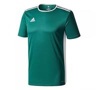 adidas - Entrada18 T-Shirt - Homme, Vert (Collegiate Green/White), S