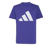 adidas Essentials Big Logo T-Shirt Set Survêtement Mixte Enfant