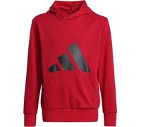 Adidas Essentials Hoodie Juniors Rouge/Noir 13-14 ans Male