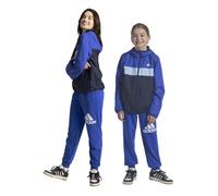 adidas Essentials Pantalon de jogging junior en coton coupe classique avec grand logo Bleu 15-16 ans, bleu, 15 ans