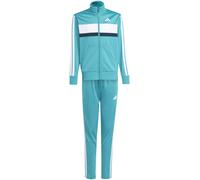 Adidas Essentials Tiberio Tracksuit Vert/Blanc 9-10 ans Male