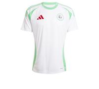 Adidas Algeria 24 Away Homme - Jerseys/Réplicas, Blanc - Taille S - Poly Mesh White S
