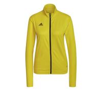 Veste de training adidas Entrada 22 TK femmes jaune M (38-40)