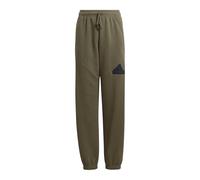Adidas, Future Icons Big Logo, Les Pantalons De Survêtement, Striptes d'olive/Noir, 910A, Enfant
