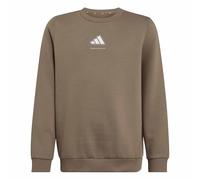 adidas Garçon Boys Slogan Fleece Sweatshirt, Khaki Six, 11-12 Years