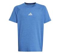 adidas Garçon Goto PZ T-Shirt, Bright Cyan/Team Royal Blue/Reflective Silver, 13-14 Years