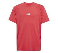 adidas Garçon Goto PZ T-Shirt, Pure Ruby/Lucid Red/Reflective Silver, 11-12 Years