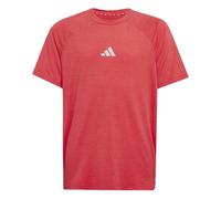 adidas Garçon Goto PZ T-Shirt, Pure Ruby/Lucid Red/Reflective Silver, 5-6 Years