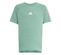 adidas Garçon Goto PZ T-Shirt, Pure Teal/Lime Burst/Reflective Silver, 11-12 Years