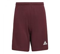adidas Garçon Squadra 21 Shorts, Team Maroon/White, 7-8 Years