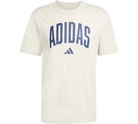 Adidas Graphic Logo T-Shirt Mens Wonder Alumina S Male