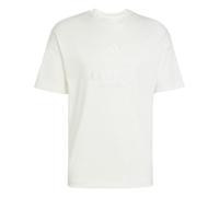 Adidas All Szn Embroidered Graphics Short Sleeve T-shirt Blanc XL / Regular Homme