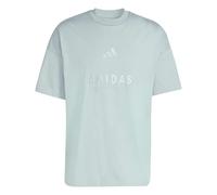 adidas Herren All SZN Embroidered Graphics T-Shirt, Wonder Sage, S