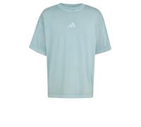 adidas Herren All SZN Washed T-Shirt, Wonder Sage, XL