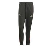 adidas Herren Audi Formula One Team DNA Pant, Utility Black, M