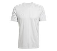 adidas Herren CAMPEON25 Jersey, Team Light Grey/White, L