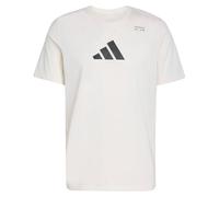 adidas Climacool Category T-Shirt Graphique d'entraînement pour Homme 3XL Blanc Craie