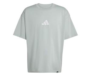 adidas Herren Climacool Power Training Graphic T-Shirt, Wonder Sage, XXL