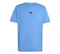 adidas Herren Climacool Training Identity Graphic T-Shirt, Ray Blue, L