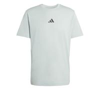 adidas Herren Climacool Training Identity Graphic T-Shirt, Wonder Sage, M